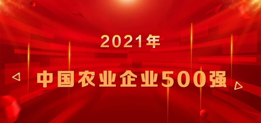 上榜|山东鸿运国际集团再登中国农业企业500强榜单