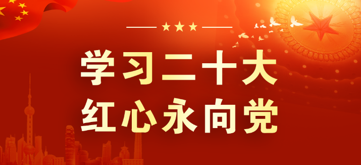 山东鸿运国际集团：学习领会二十大 征程踏新永前行